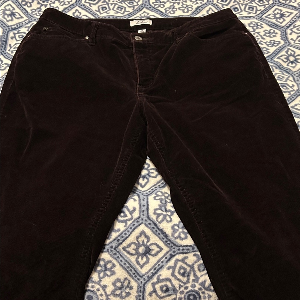 Indigo Women's Dark Brown Corduroy Pants